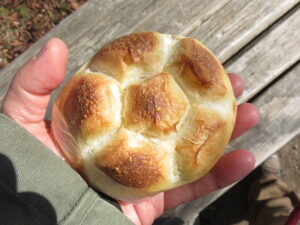 ロゼッタ：かも川ヒュー