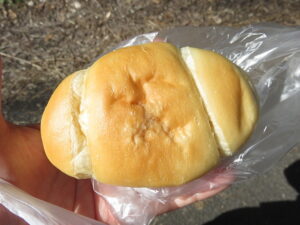 本気の塩パン：バオバブの木