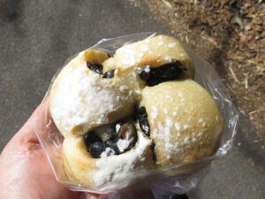 近江黒豆フランス:バオバブの木