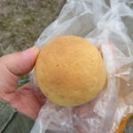 たまごパン：パンプキン本店