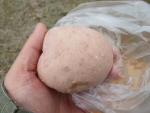 ほんのり梅パン：パンプキン